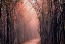 开云体育APP下载-塔斯马尼亚联进攻端火力强劲，欲破蒙特雷防线