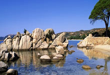 开云体育官方网站-西雅图海湾者防守体系调整，力求守住关键战局