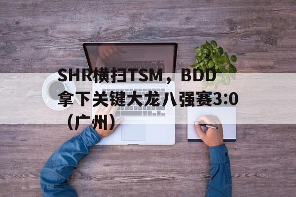 开云体育官方网站-SHR横扫TSM，BDD拿下关键大龙八强赛3:0（广州）