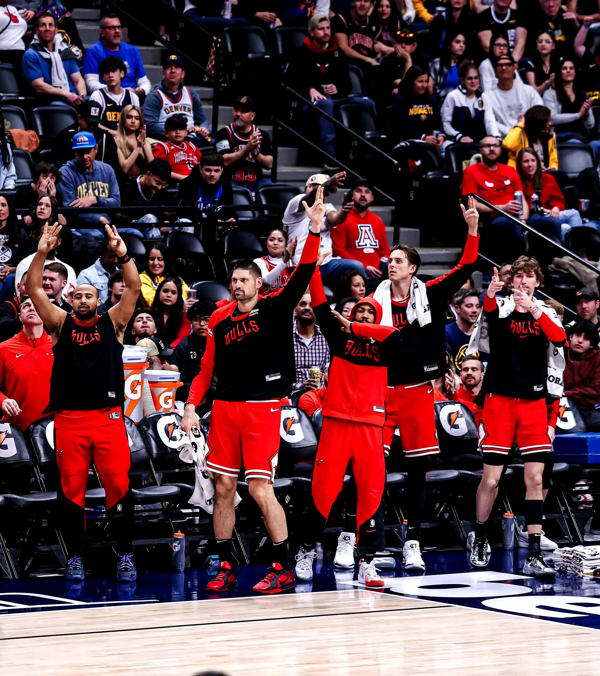 关于公牛轻取灰熊,波特爆发神勇的信息 关于公牛轻取灰熊,波特爆发神勇的信息