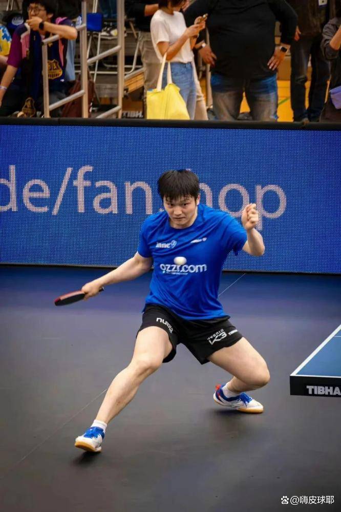 开云体育下载-关于比利时乒乓球队险胜日本乒乓球队,樊振东绝境逆转的信息