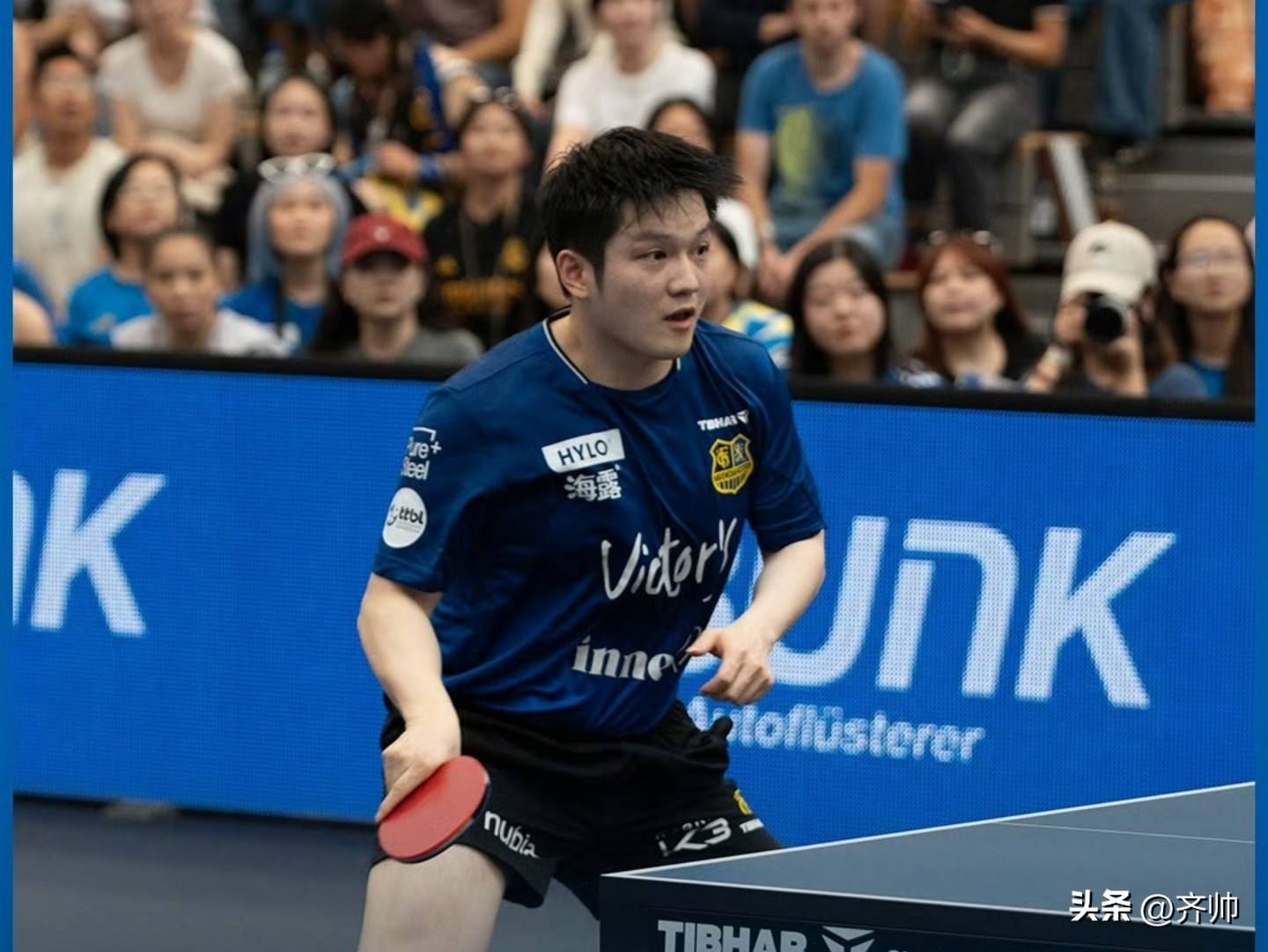 开云体育中国-波兰队碾压奥地利队，樊振东点燃赛场