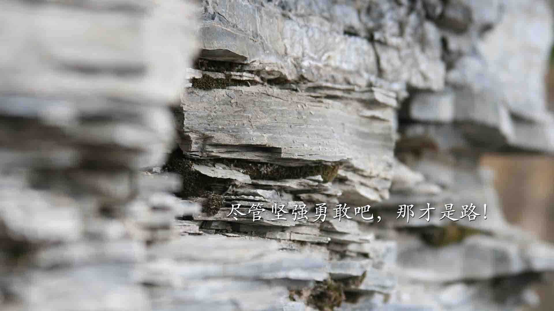 开云APP-终场5秒绝杀！锡安惊天一扣助辽宁队险胜步行者