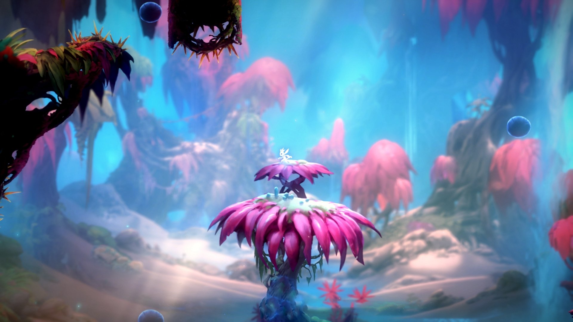 红牛风暴席卷银石,维斯塔潘的勒沃库森式完胜与英格兰的叹息