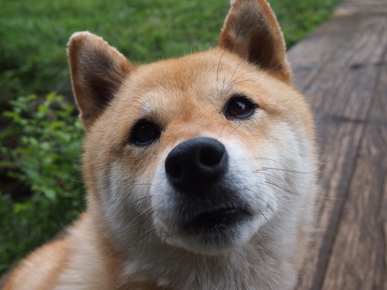 贝恩狂飙一剑封喉，当个人英雄主义点燃绝杀之夜