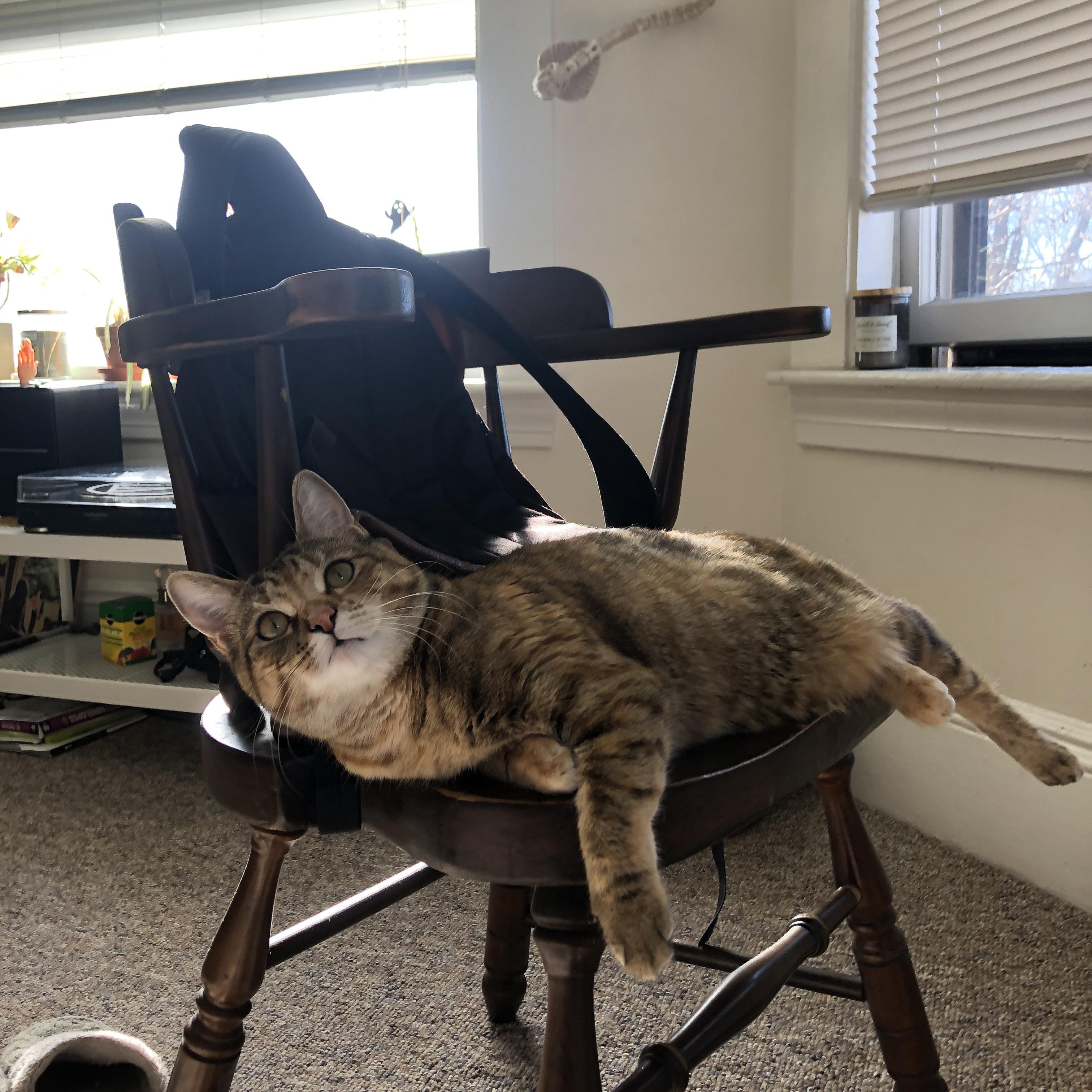 约基奇加时赛统治攻防,奇才队险胜吉林显冠军相