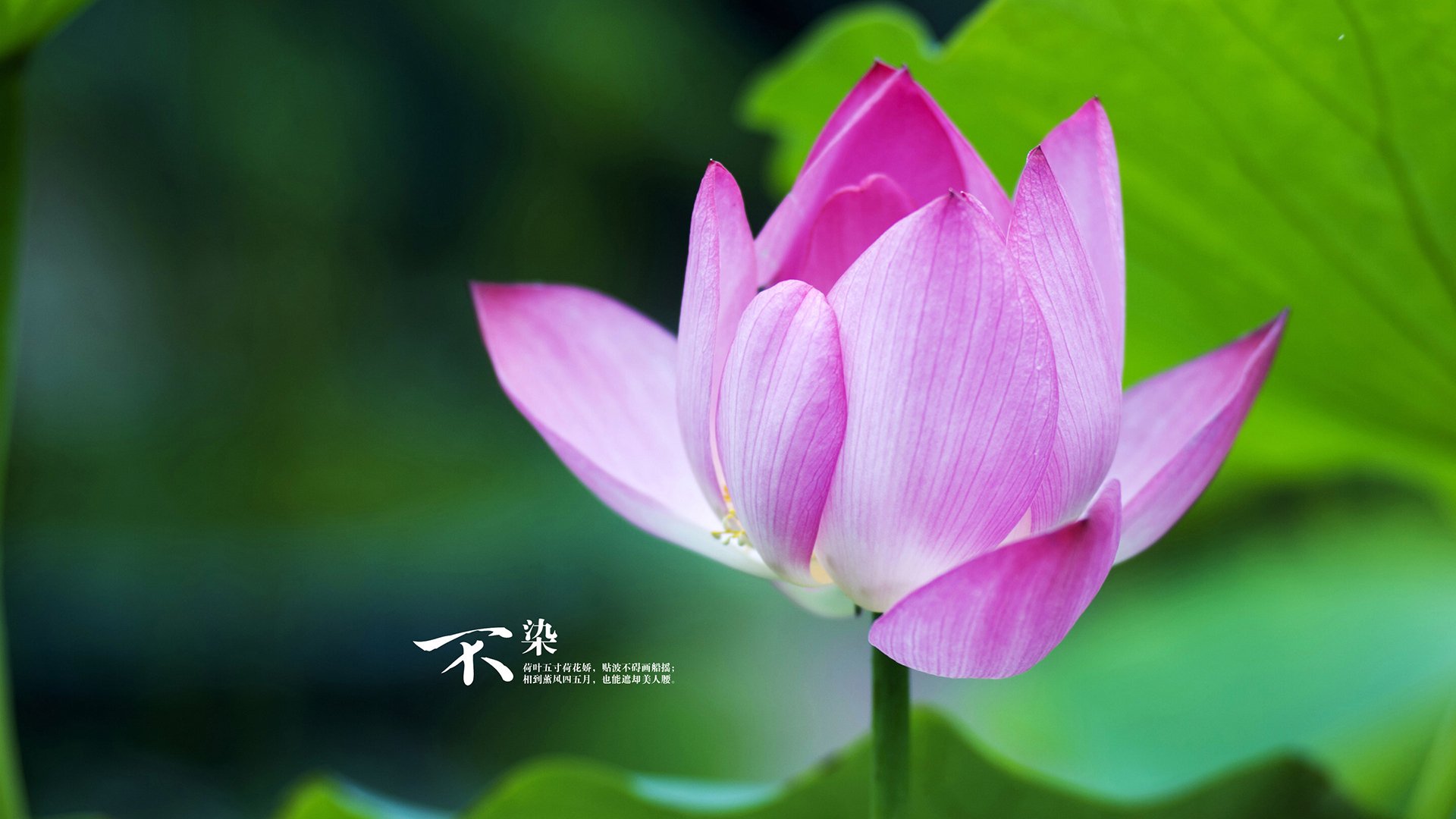 当穆勒站在东决赛场,在三个时空的交汇点,他定义了高能输出