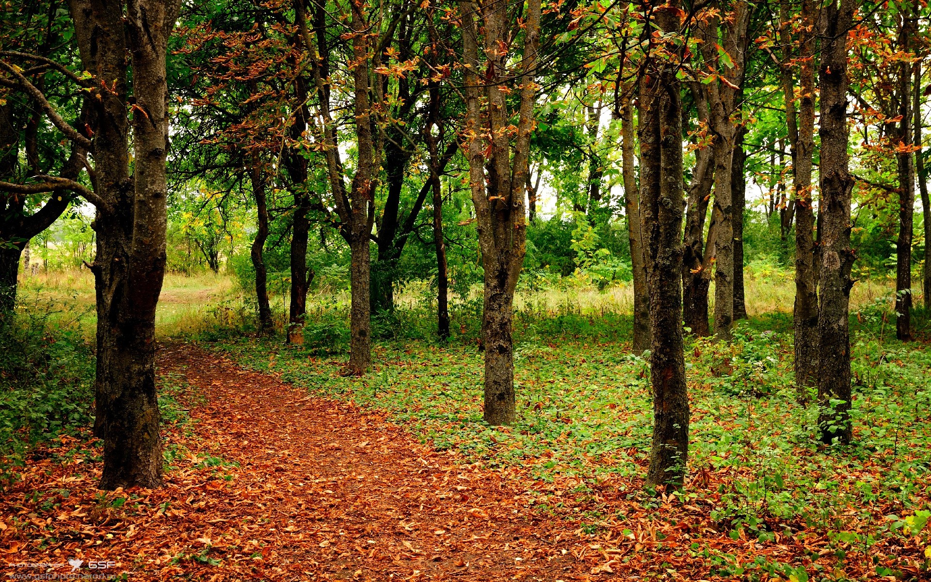 闪光的李刚仁与末节风暴,哥伦比亚险胜摩纳哥