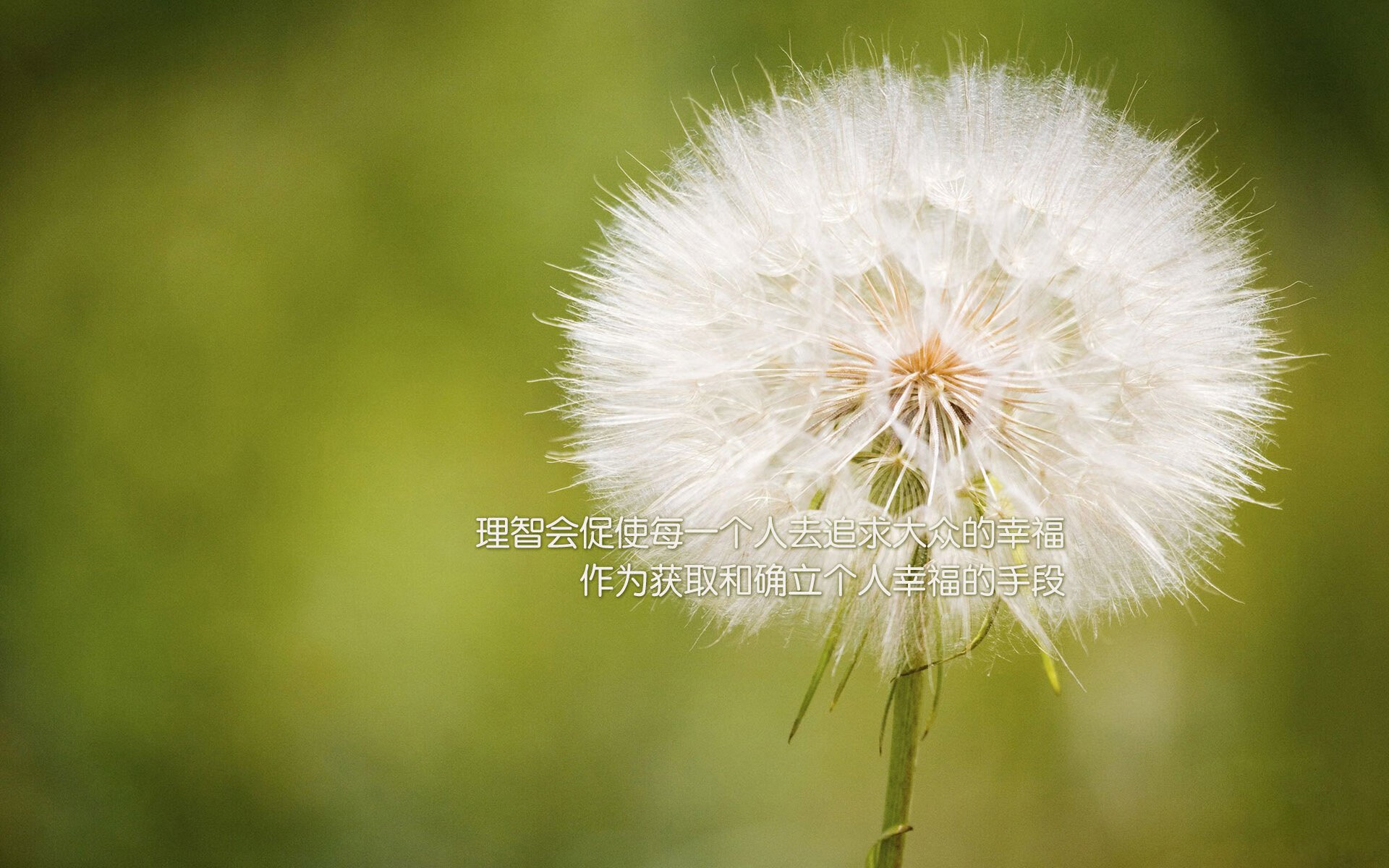 撕裂之翼，贝恩总决赛之夜，向世界证明英雄不必有名