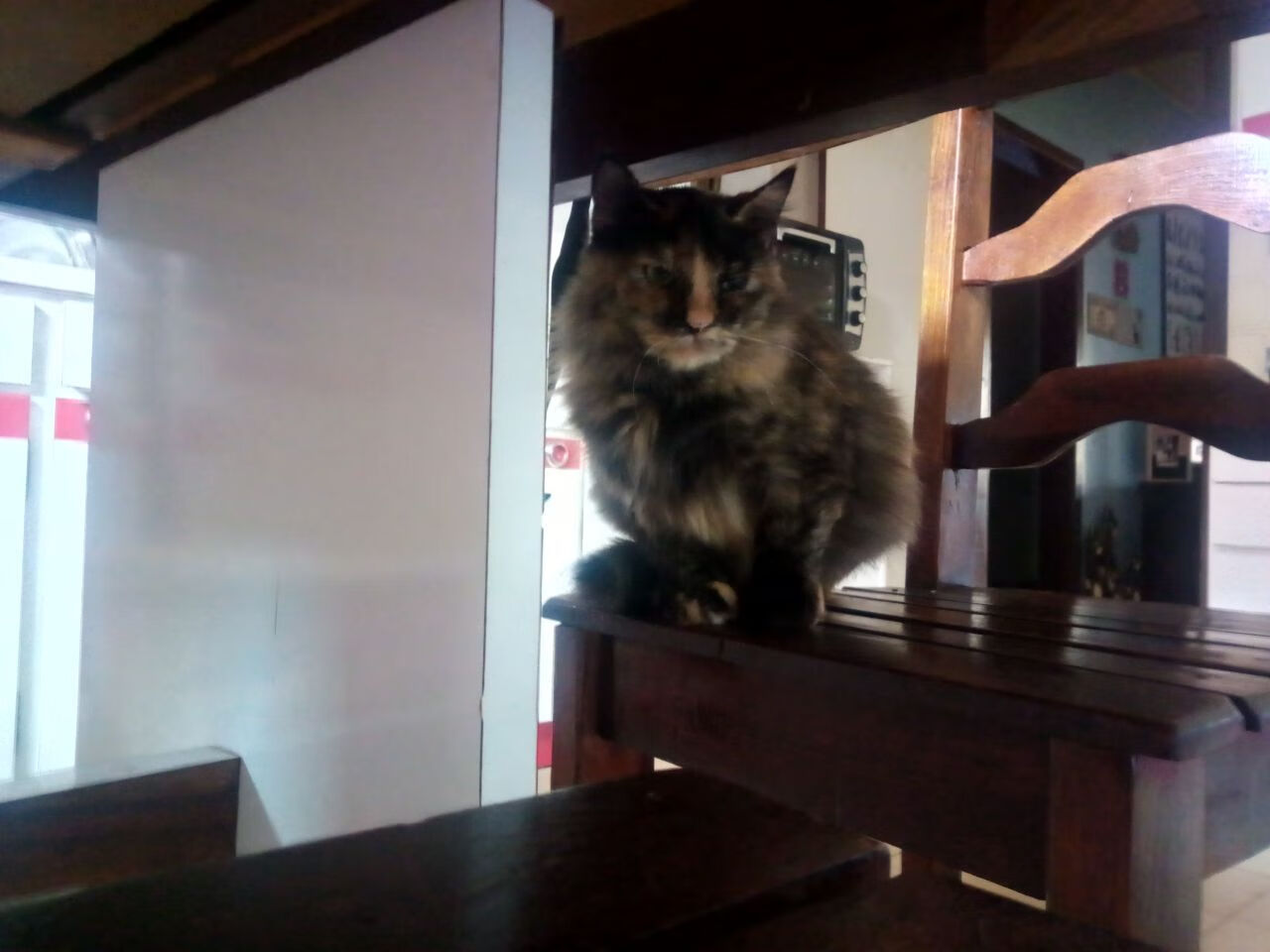 开云体育官网-逆袭之战，米切尔如何以攻防转换核心身份带领吉林掀翻辽宁