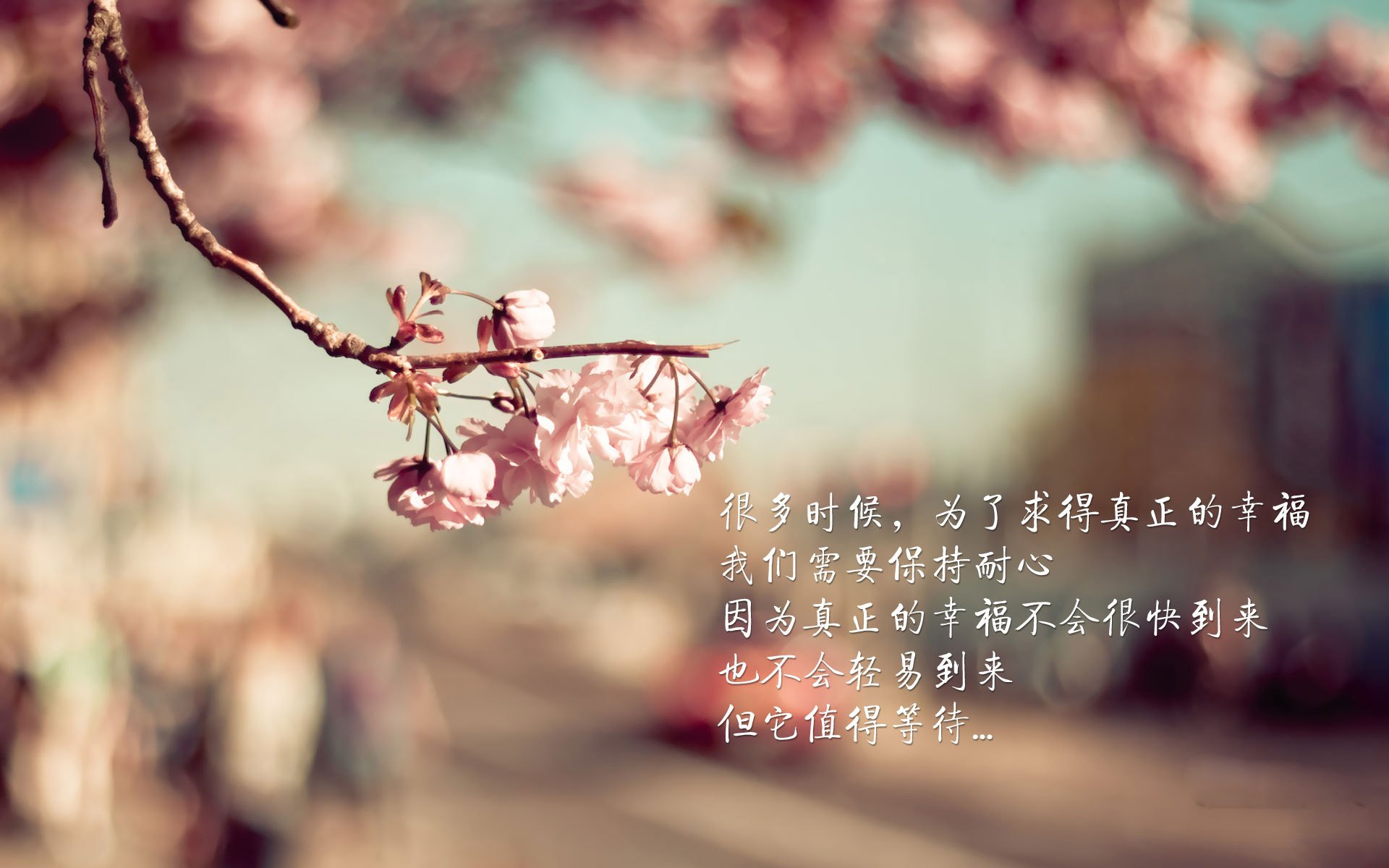 铁血防线!阿劳霍一夫当关,乌拉圭热身赛力克马赛显峥嵘